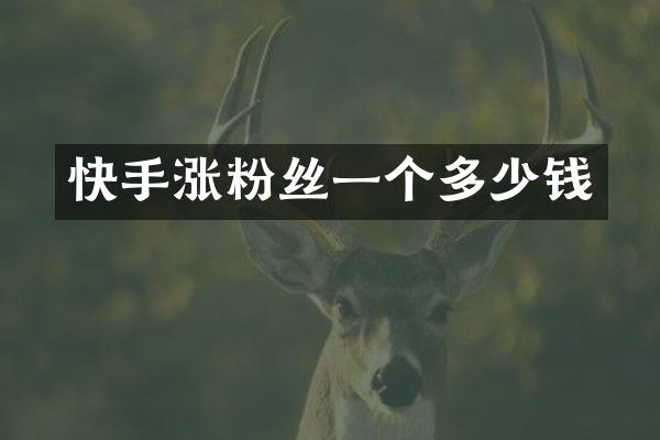 快手涨粉丝一个多少钱