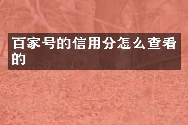 百家号的信用分怎么查看的