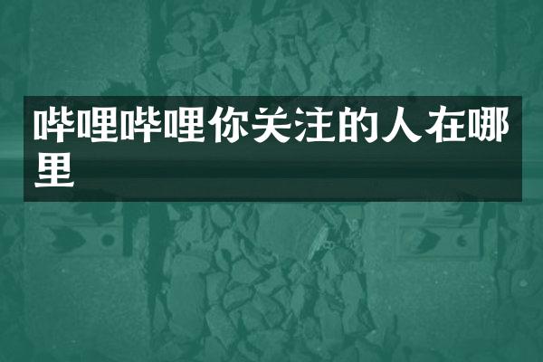 哔哩哔哩你关注的人在哪里