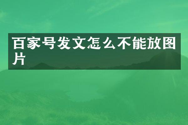 百家号发文怎么不能放图片