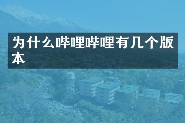 为什么哔哩哔哩有几个版本