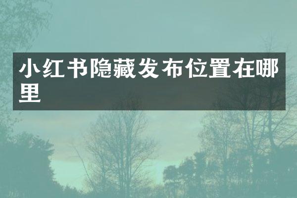 小红书隐藏发布位置在哪里