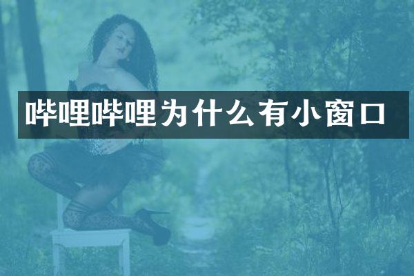 哔哩哔哩为什么有小窗口