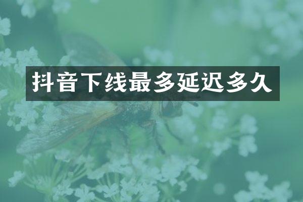 抖音下线最多延迟多久