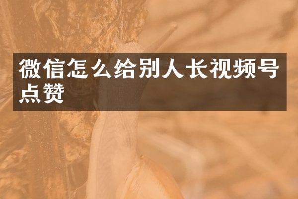 微信怎么给别人长视频号点赞