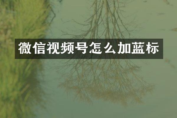 微信视频号怎么加蓝标