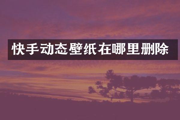 快手动态壁纸在哪里删除