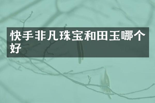 快手非凡珠宝和田玉哪个好