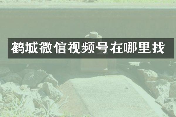鹤城微信视频号在哪里找