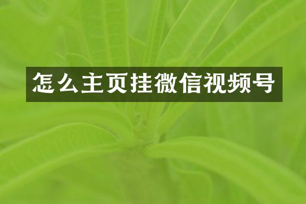怎么主页挂微信视频号