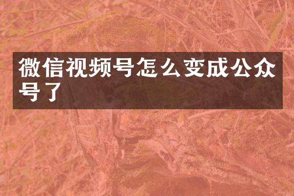 微信视频号怎么变成公众号了