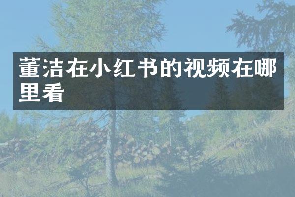 董洁在小红书的视频在哪里看