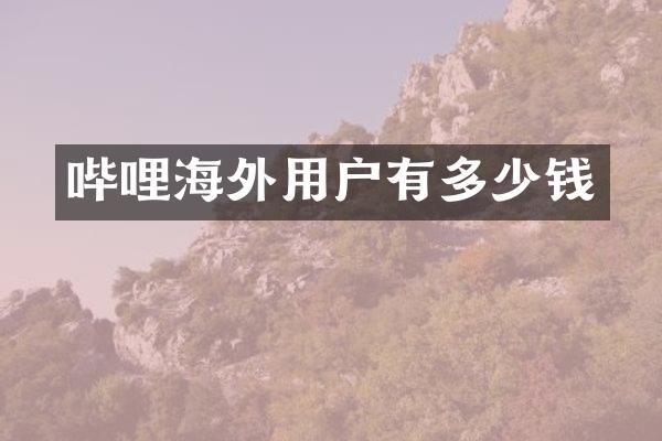 哔哩海外用户有多少钱