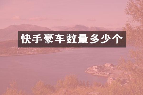 快手豪车数量多少个