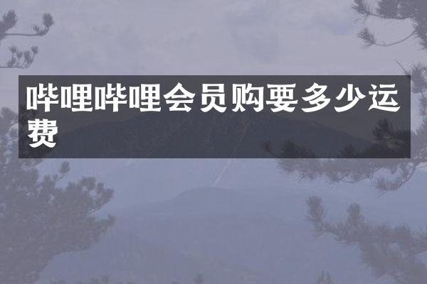 哔哩哔哩会员购要多少运费