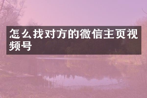 怎么找对方的微信主页视频号