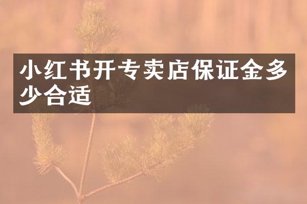 小红书开专卖店保证金多少合适