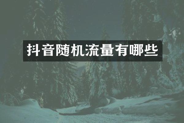 抖音随机流量有哪些