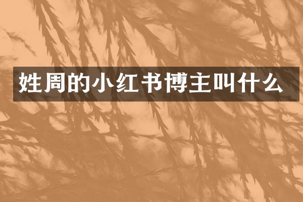 姓周的小红书博主叫什么