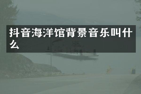 抖音海洋馆背景音乐叫什么