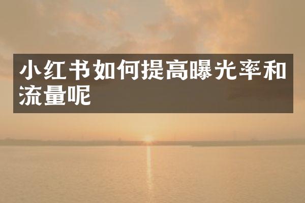 小红书如何提高曝光率和流量呢