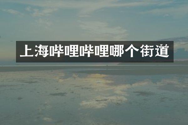 上海哔哩哔哩哪个街道