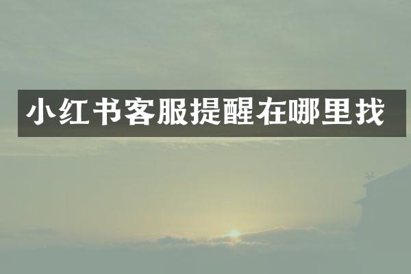 小红书客服提醒在哪里找