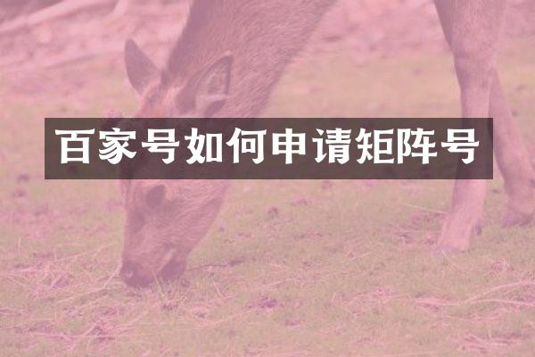 百家号如何申请矩阵号