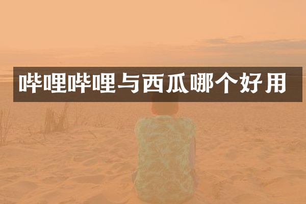 哔哩哔哩与西瓜哪个好用