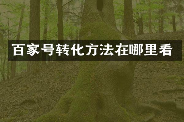 百家号转化方法在哪里看