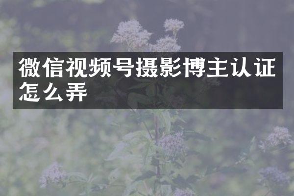 微信视频号摄影博主认证怎么弄