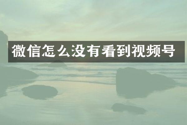 微信怎么没有看到视频号