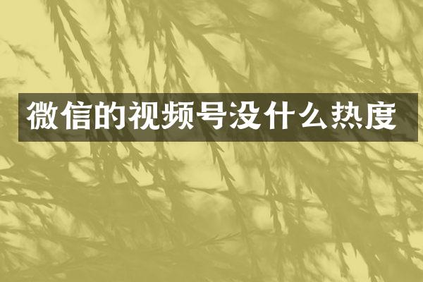 微信的视频号没什么热度
