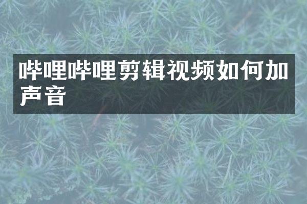 哔哩哔哩剪辑视频如何加声音