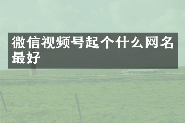 微信视频号起个什么网名最好