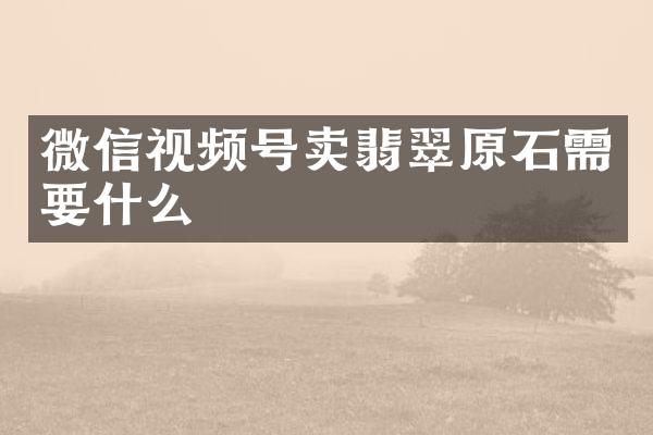 微信视频号卖翡翠原石需要什么