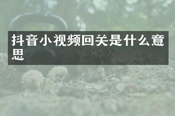 抖音小视频回关是什么意思