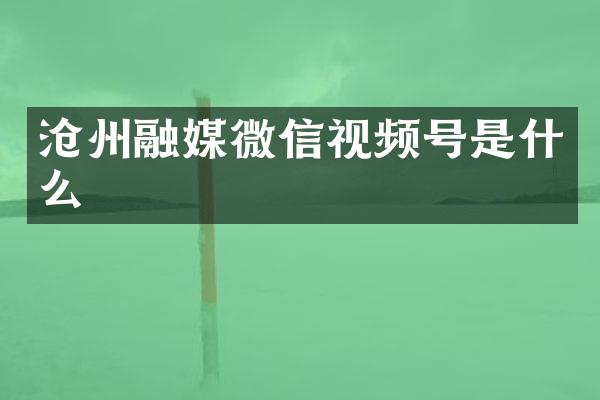 沧州融媒微信视频号是什么