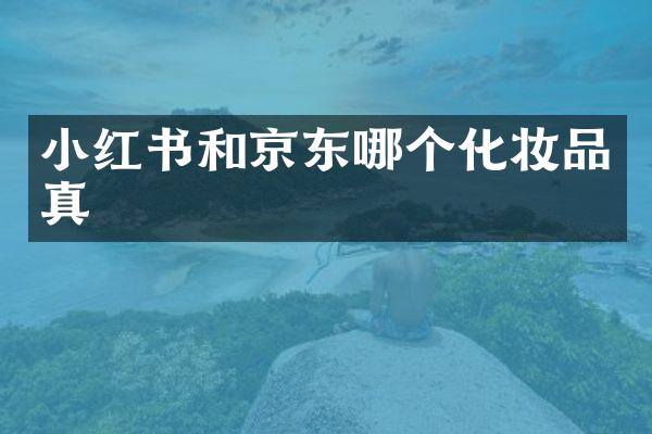 小红书和京东哪个化妆品真