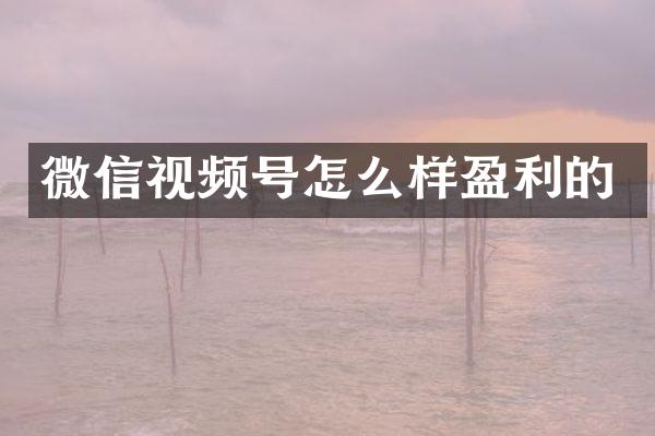 微信视频号怎么样盈利的