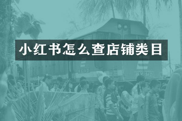 小红书怎么查店铺类目