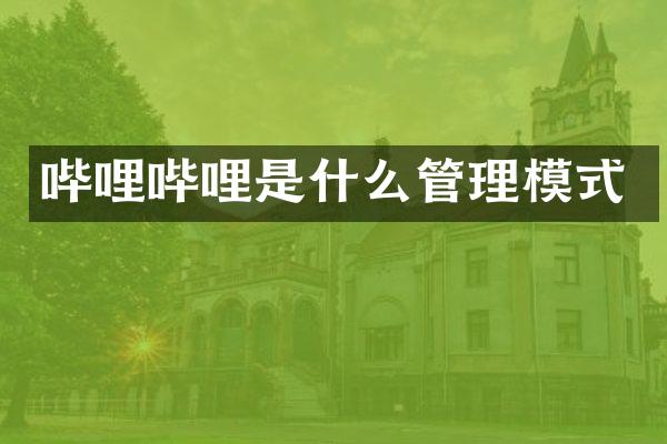 哔哩哔哩是什么管理模式