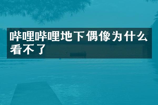 哔哩哔哩地下偶像为什么看不了
