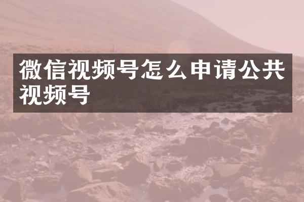 微信视频号怎么申请公共视频号