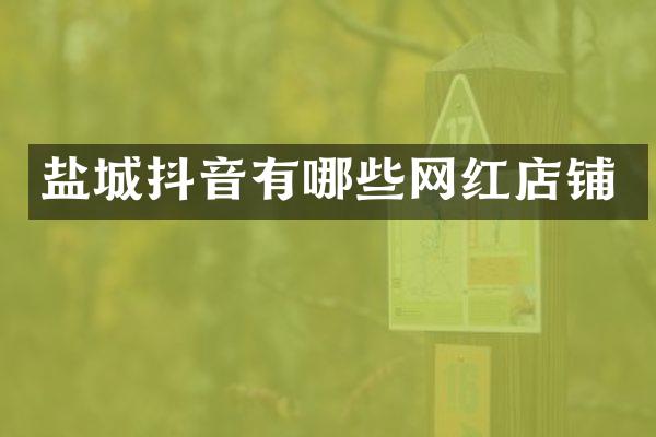 盐城抖音有哪些网红店铺