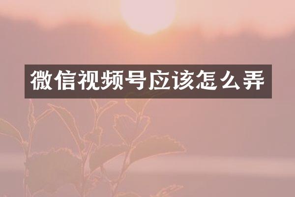 微信视频号应该怎么弄