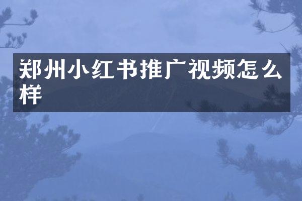 郑州小红书推广视频怎么样