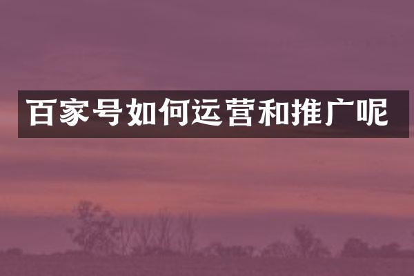 百家号如何运营和推广呢