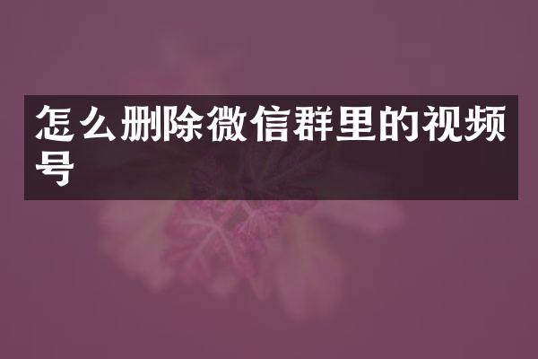 怎么删除微信群里的视频号