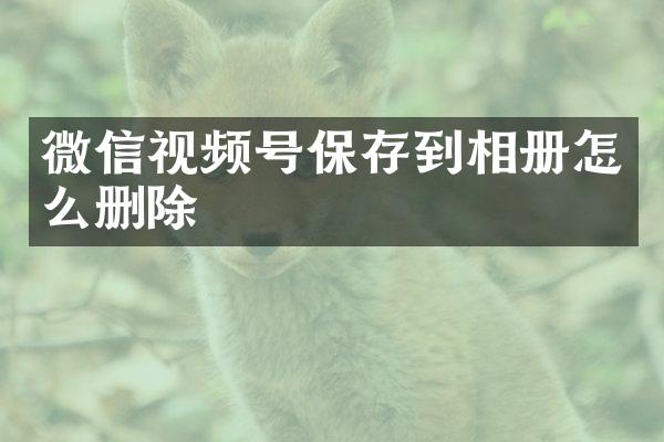 微信视频号保存到相册怎么删除